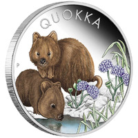 Australian Quokka 2023 1oz Silver Proof Coloured Coin*